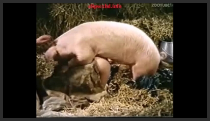 2 Cô Gái Cho Ngựa Địt